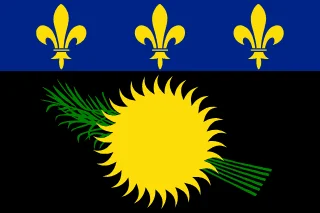 Bandera Guadalupe