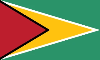 Bandera Guyana