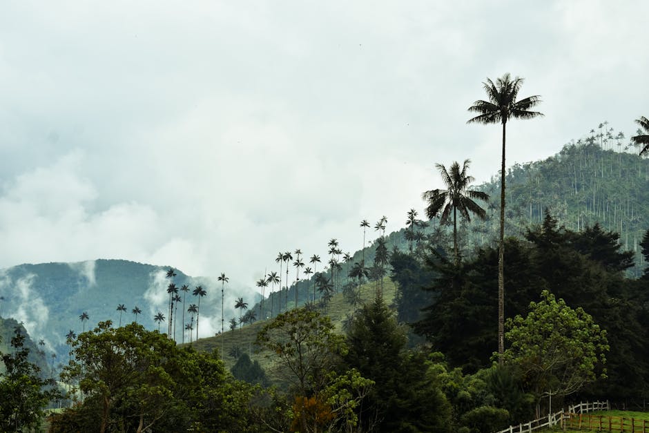Metrocable de Medellín, Colombia — la mejor eSIM para tu ruta