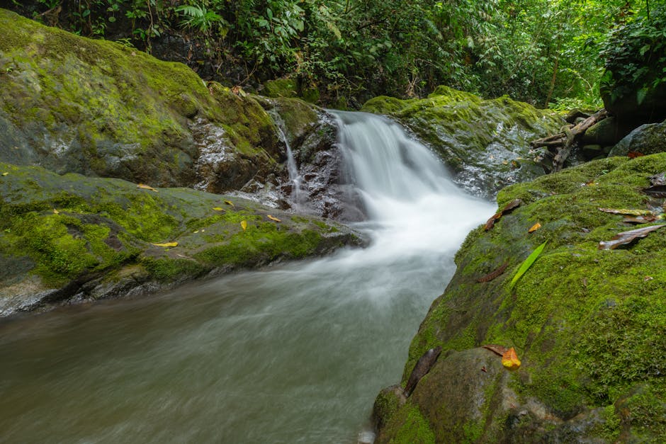 Selva costarricense — cobertura de red 4G