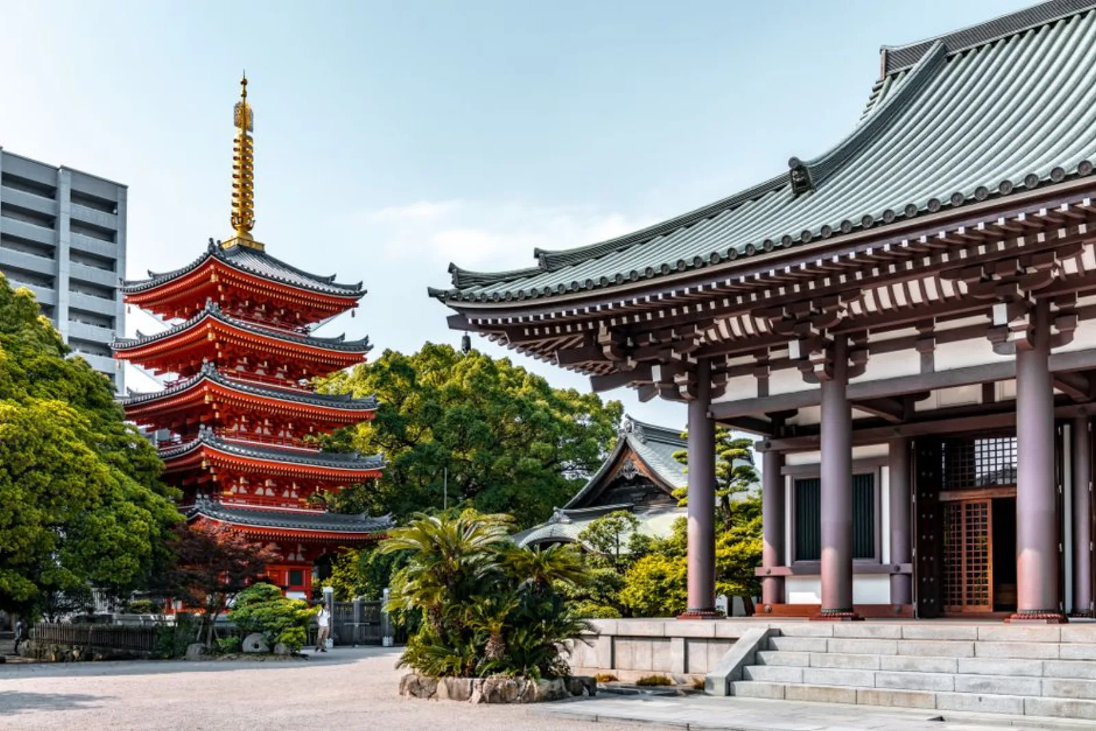 Cobertura 4G/5G en Japón: operadores y 5G (2026)