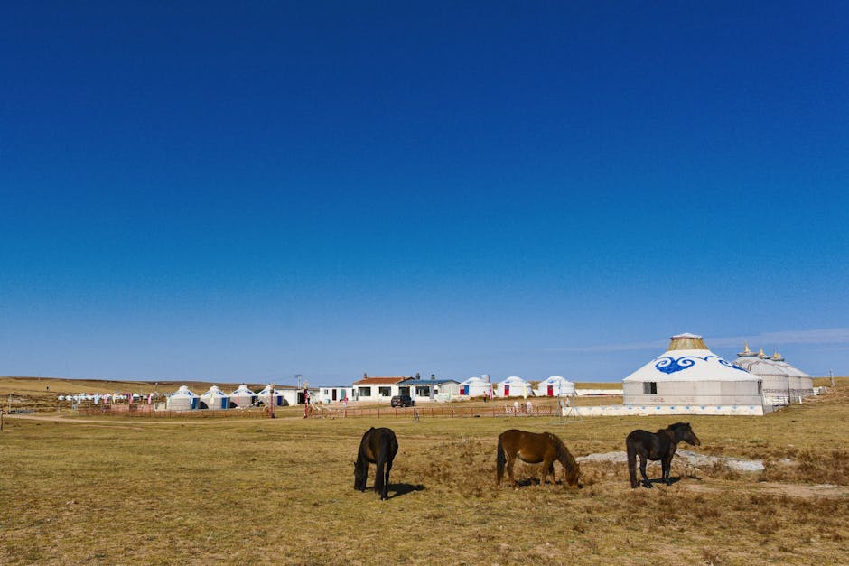 Ulaanbaatar Mongolia skyline yourtes — comprar una eSIM antes de tu viaje