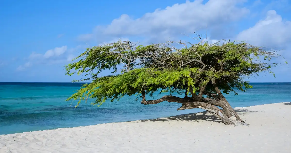 Comparativa eSIM Aruba